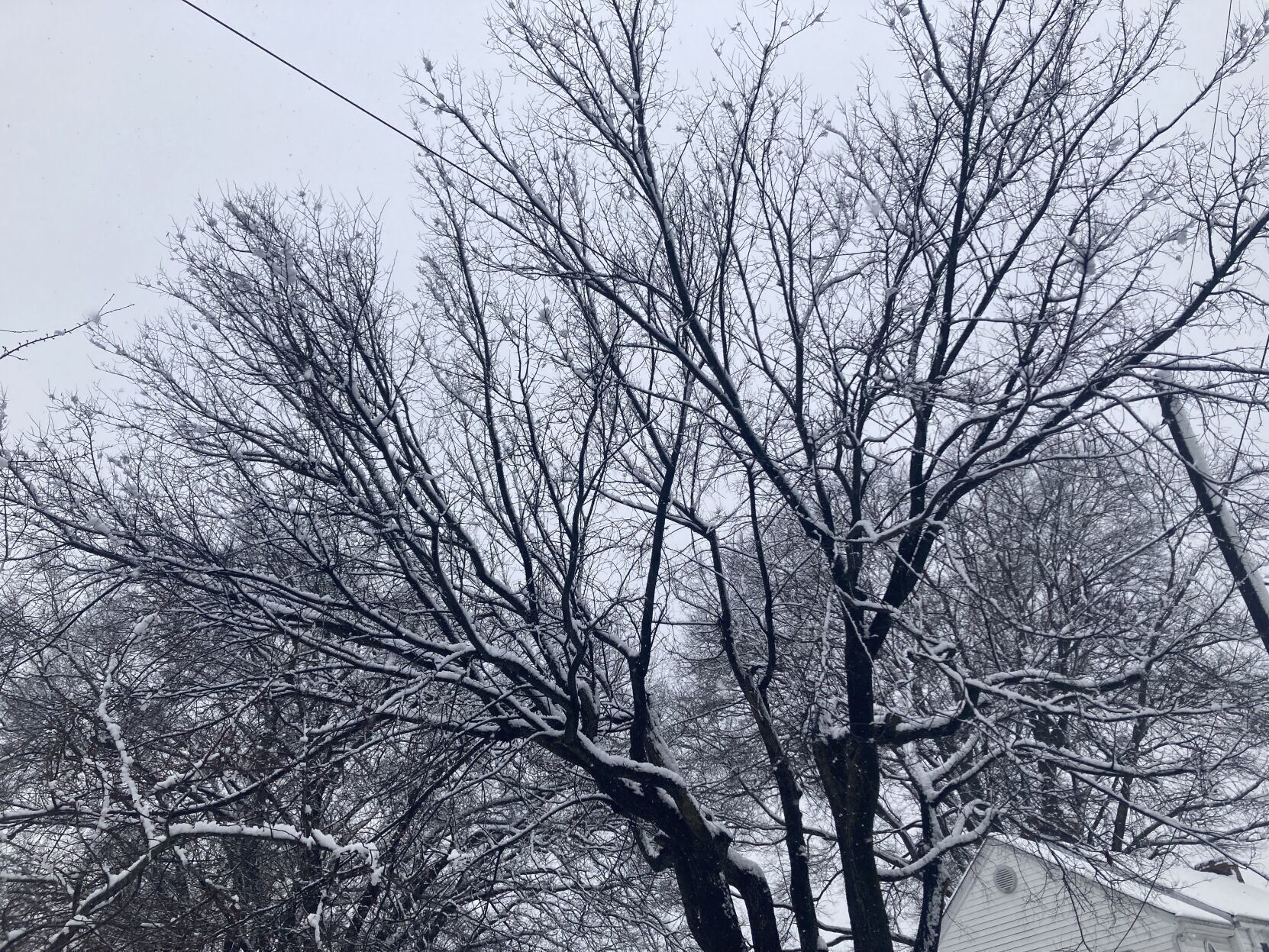 Snow in Danville